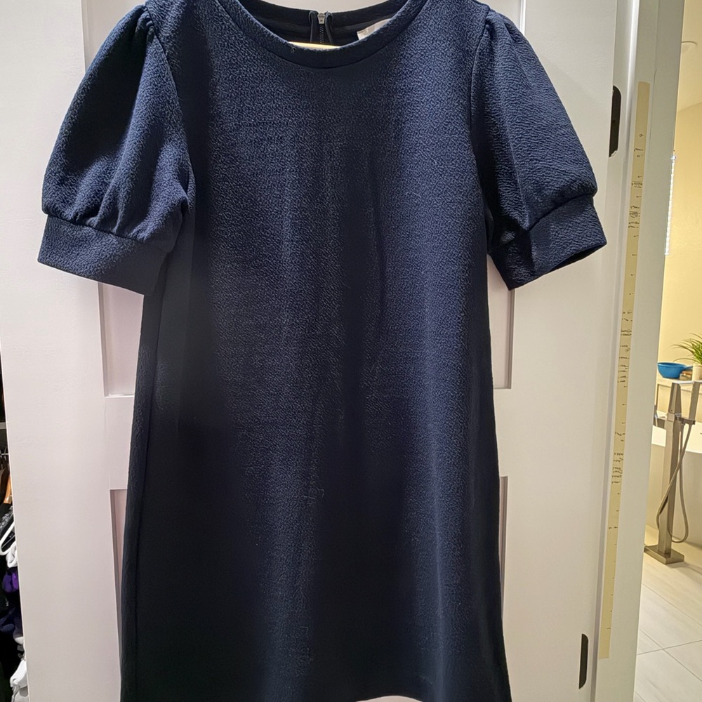 LOFT Navy Puff Sleeve Dress